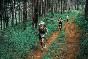 BIB: 
                            <button type="button" onclick="openModal(25697681)" class="btn btn-primary btn-sm float-right btn-popup" data-toggle="modal" data-target=".modal-high-quality">
                        <i class="fas fa-shopping-cart"></i> Add to Cart
                    </button>
                                            <button type="button" onclick="isThisMe(25697681, true)" class="btn btn-success btn-sm float-right btn-popup btn-isme hidden" data-toggle="tooltip" data-placement="bottom" title="นี่คือรูปของคุณใช่ไหม คลิกที่นี่เพื่อเอาเข้าอัลบั้ม">
                        <i class="fas fa-plus"></i> Add to album
                    </button>
                    <button type="button" onclick="isThisMe(25697681, false)" class="btn btn-warning btn-sm float-right btn-popup btn-isnotme hidden">
                        <i class="fas fa-ban"></i> Remove from album
                    </button>